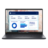 Dell Pro 13 Premium PA13250 (Intel Core Ultra 7-266V vPro/ DDR5 16GB/ SSD 512GB/ Ultralight 13.3 FHD+ / Integrated Intel Arc graphics/ Win11Pro/ RU) Black