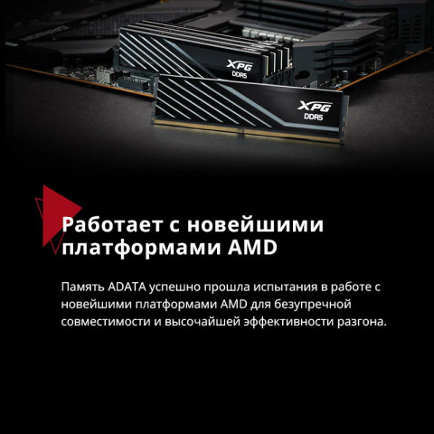 Adata DDR5 16GB 5600 Mhz